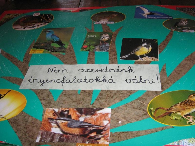 Madarak és fák napja