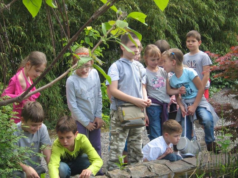 Madarak és fák napja