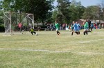 Diákolimpia országos döntő