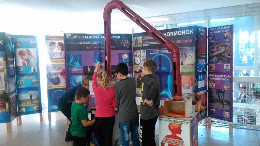 Testünk a csoda